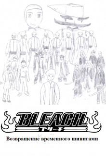 Bleach. Возвращение временного шинигами