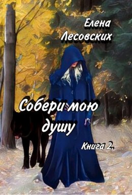 Собери мою душу. Книга 2