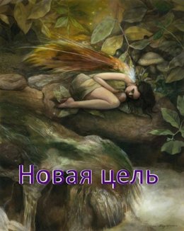 Новая цель