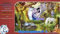 Оборотни крепости ЭР - 4
