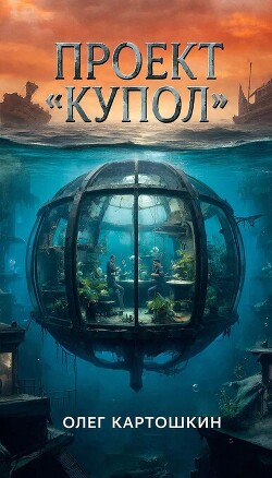 Проект Купол