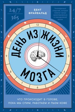 День из жизни мозга: Что происходит в голове, пока мы спим, работаем и пьем кофе