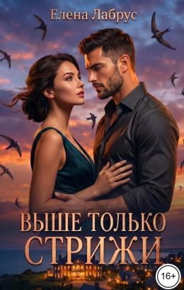 Выше только стрижи